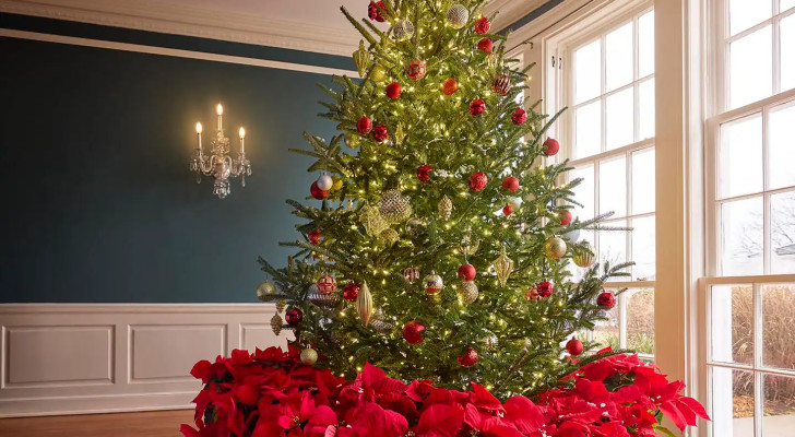 من مختلف العالم.. أغرب طقوس الكريسماس التي لن تصدقها!