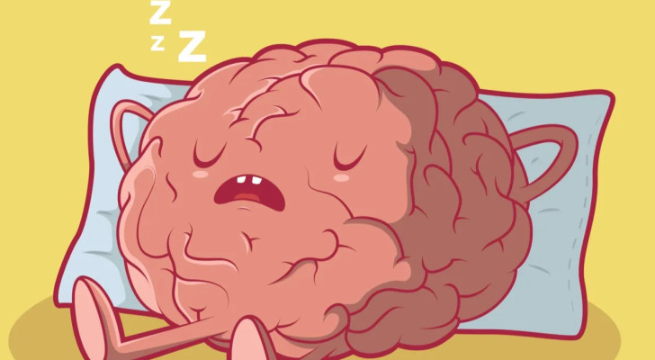ينام جسمك ودماغك يبقى مستيقظا: حتى أثناء النوم.. دماغك يظل يستهلك 20% من طاقة جسمك!