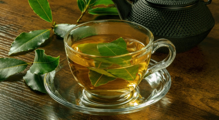 ما فوائد شرب كوب من مغلي ورق الغار على معدة فارغة؟