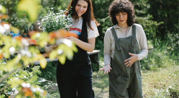 المشي مع صديق لمدة 12 دقيقة.. وصفة سريعة لتحسين المزاج وإعادة ضبط دماغك