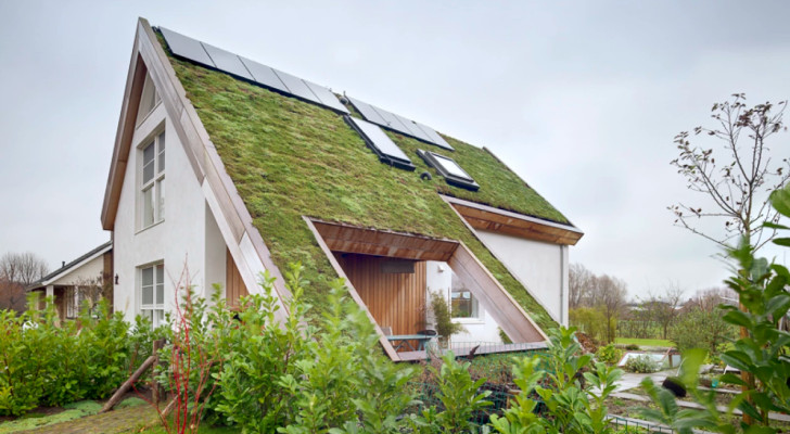 هولندا تبتكر أبنية خضراء تتنفس الهواء.. ولكن كيف ذلك؟