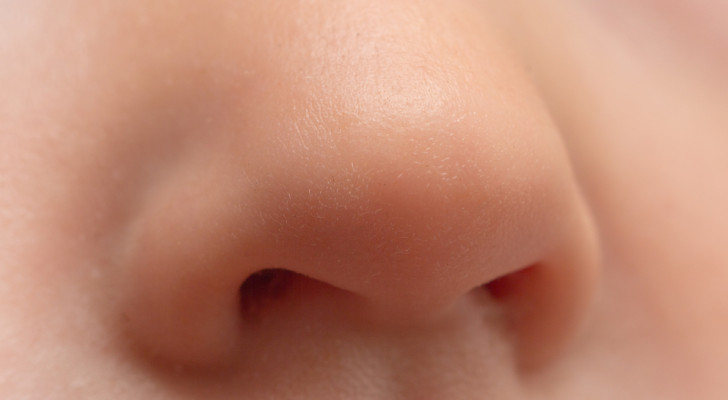 لماذا لا يحب الأغلبية شكل أنوفهم؟ العلم يجيب