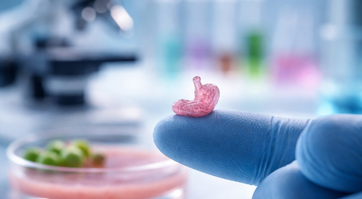 علماء بريطانيون يبتكرون "معدة بحجم حبة البازلاء" تحاكي وظائف المعدة البشرية!