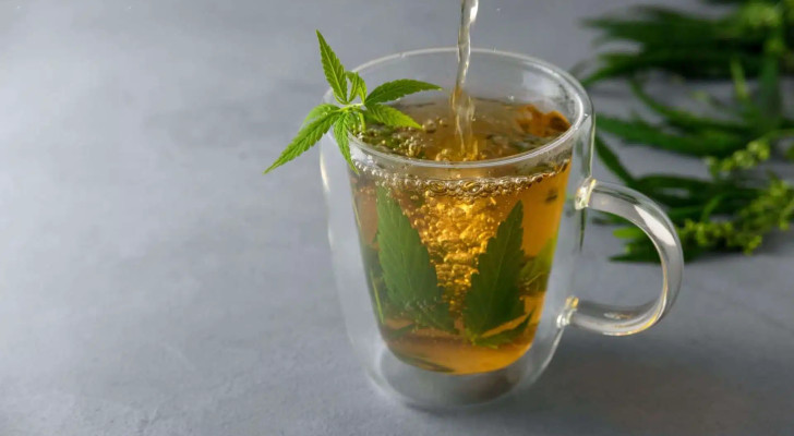 هل الأعشاب تعالج السرطان؟ إليك الحقيقة كاملة