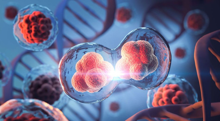 لا تظهر أعراضا واضحة في البدايات.. 3 أنواع من السرطان تنمو في صمت وأعراض خادعة!