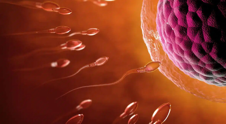 على أي عمر تبدأ جودة البويضات بالتراجع عند المرأة؟