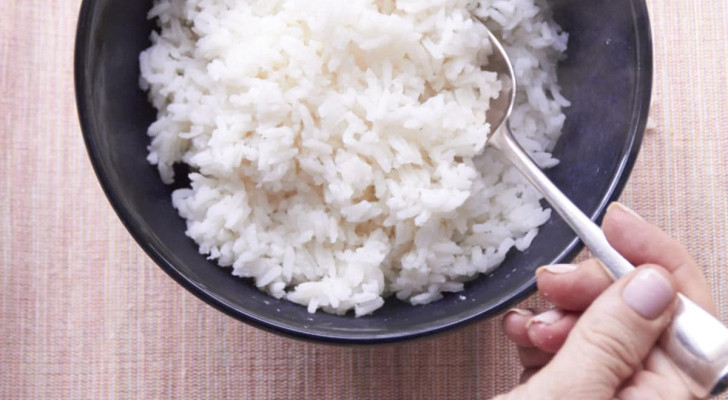 ماذا يحدث لجسمك إذا تناولت الأرز الأبيض يوميا؟