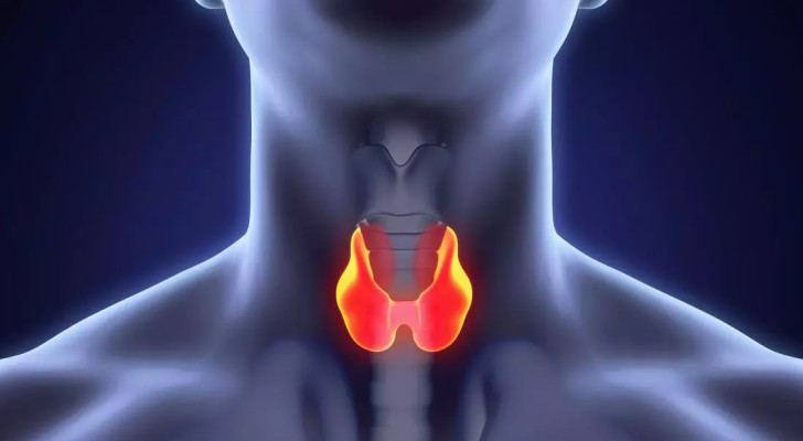 ما أفضل وقت لأخذ دواء الغدة الدرقية في رمضان؟ وهل يؤثر الصيام على العلاج؟