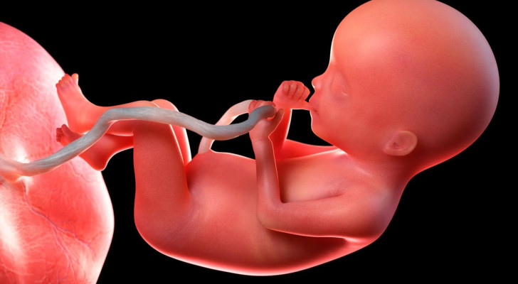 هل تعرفين أعراض انفصال المشيمة؟ اكتشفيها قبل فوات الأوان