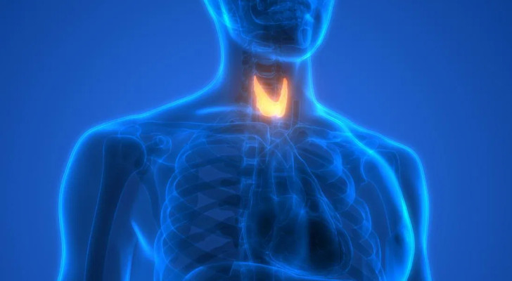 مريض الغدة وصيام رمضان: 7 أعراض تستدعي مراجعة الطبيب فورا!