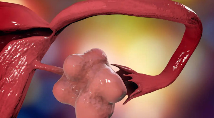 هل يمكن معرفة عدد البويضات المتبقية في المبيض بدقة؟ وما أنسب طريقة فحص؟