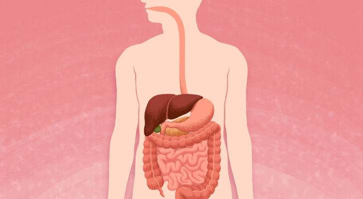 ما هي الحالات التي تسبب نزيفا هضميا؟ وكيف يمكن الكشف عنه إذا لم يظهر بالعين المجردة؟