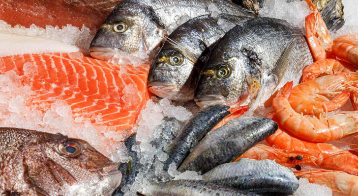 5 أنواع من السمك غنية بفيتامين د.. مفيدة للعظام والمناعة