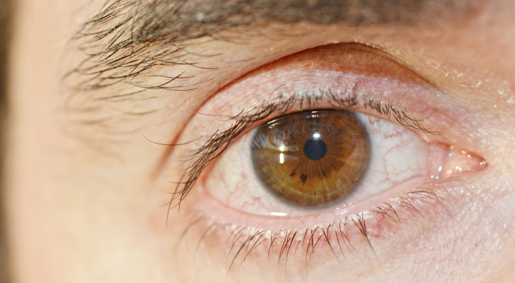 بسرعة مذهلة.. دماغ الإنسان يمكنه التعرف على الوجوه المألوفة في أقل من نصف ثانية!