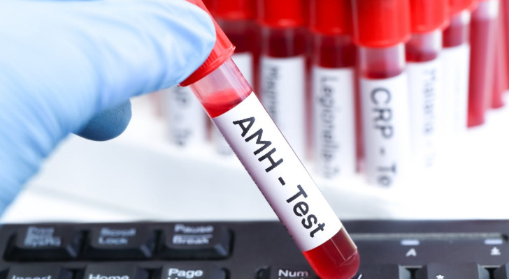 ماذا تعني نتيجة فحص مخزون المبيض بين 0.5 و1.0 نانوغرام/مل؟