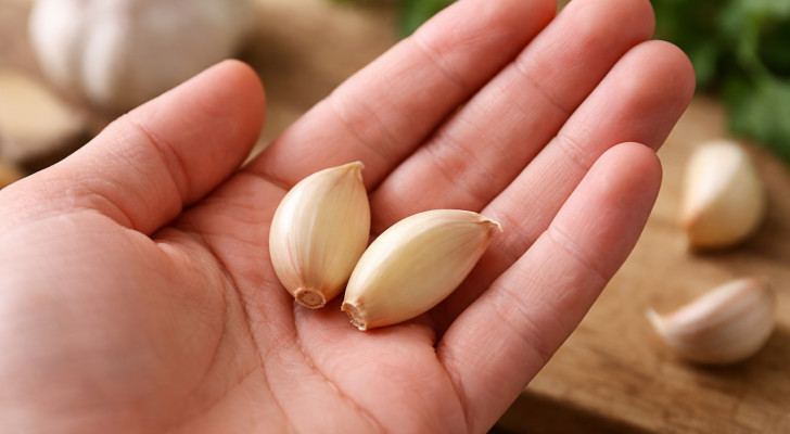 ما السر؟ لماذا يوصي الأطباء بتناول فصين من الثوم يوميا؟