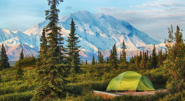 فقط ٣ أيام من التخييم في الغابة.. تقوي خلاياك المحاربة للسرطان بنسبة ٨٠%!