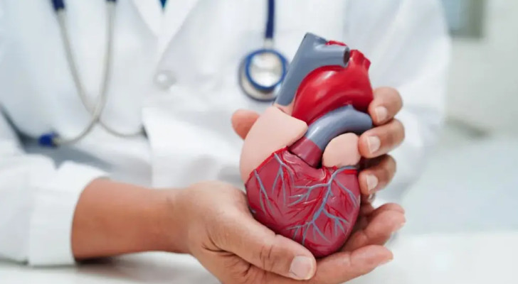 لماذا نشعر بخفقان القلب بعد تناول القهوة أو التوتر؟