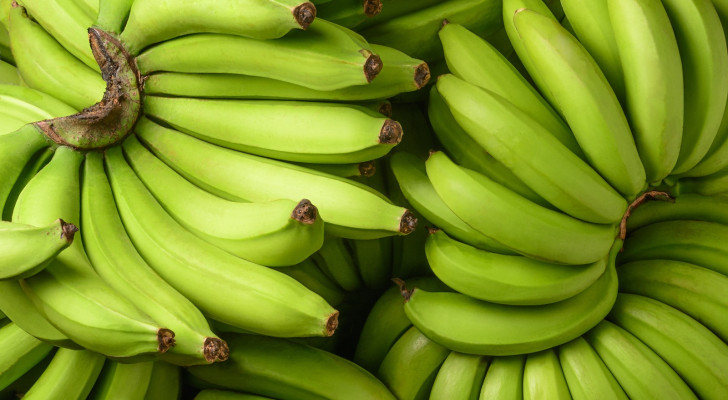 ماذا يحدث لجسمك إذا تناولت الموز الأخضر وانت مريض سكري؟