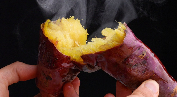 كنز صحي أم خطر كارثي: ماذا سيحدث بجسمك إذا تناولت قشر البطاطا الحلوة؟