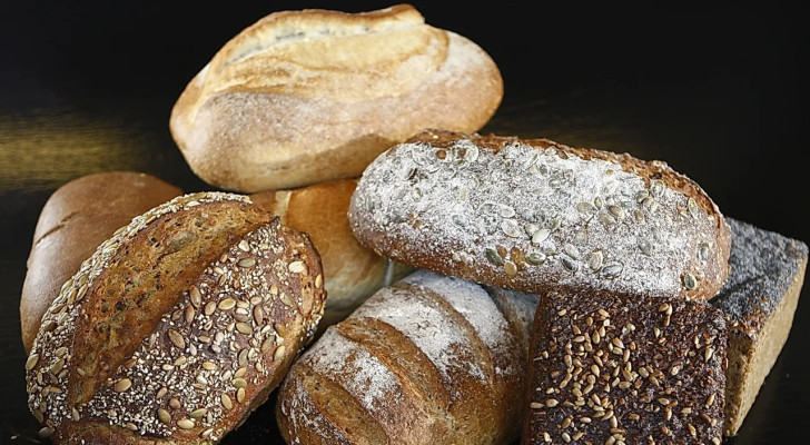 الخبز الأبيض أم القمح الكامل: أيهما يرفع سكر الدم أكثر؟ المعلومة ستصدمك!