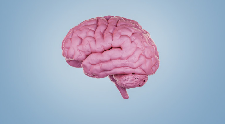 التوتر يلتهم دماغك: العلم يكشف "دماغك ينكمش كلما توترت أكثر"