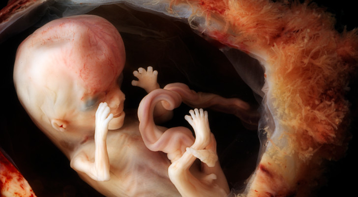 تحذير للحوامل.. مواد منزلية شائعة قد ترتبط بتشوهات الأجنة وفق دراسات حديثة