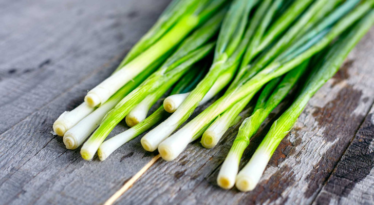 لمرضى اضطراب ضغط الدم.. ماذا يحدث في جسمك عند تناول البصل الأخضر؟