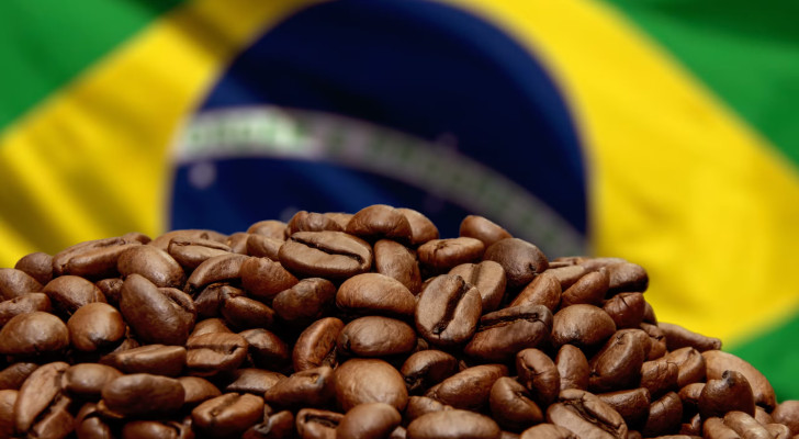 في البرازيل فقط.. البن البرازيلي ينبت من كوب قهوتك.. ولكن كيف يحدث ذلك؟