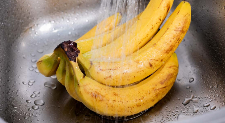 خبراء الصحة يحذرون: مع بدايات الصيف.. اغسلوا الموز قبل تناوله!