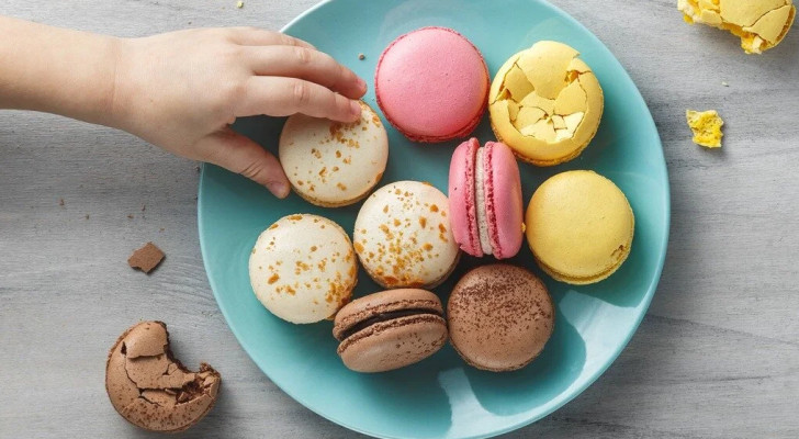 ليس ضعف إرادة.. لماذا نعشق الطعام الضار أكثر من الصحي؟ إليكم السر!