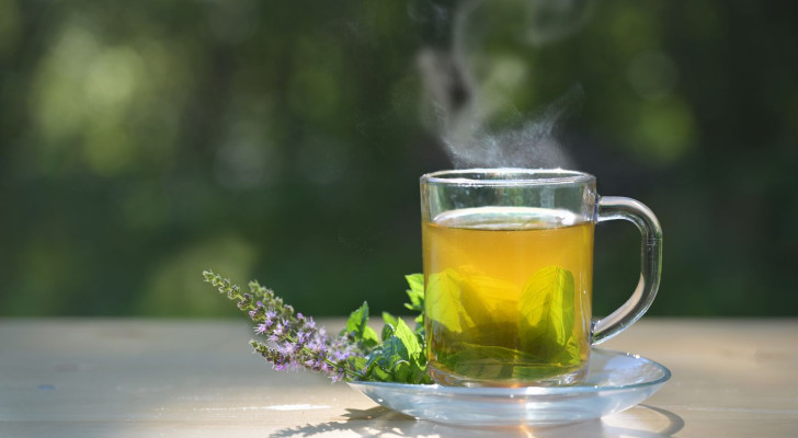 تخلص من دهون الكبد.. ما أفضل مشروب عشبي للكبد الدهني؟