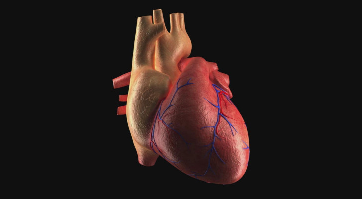 ما أعراض ضعف عضلة القلب؟.. علامات قد تكشف مشكلة خطيرة