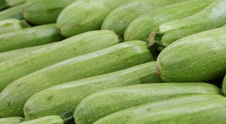 هل تساعد الكوسا على خفض ضغط الدم؟ إليك ما يحدث عند تناولها بانتظام