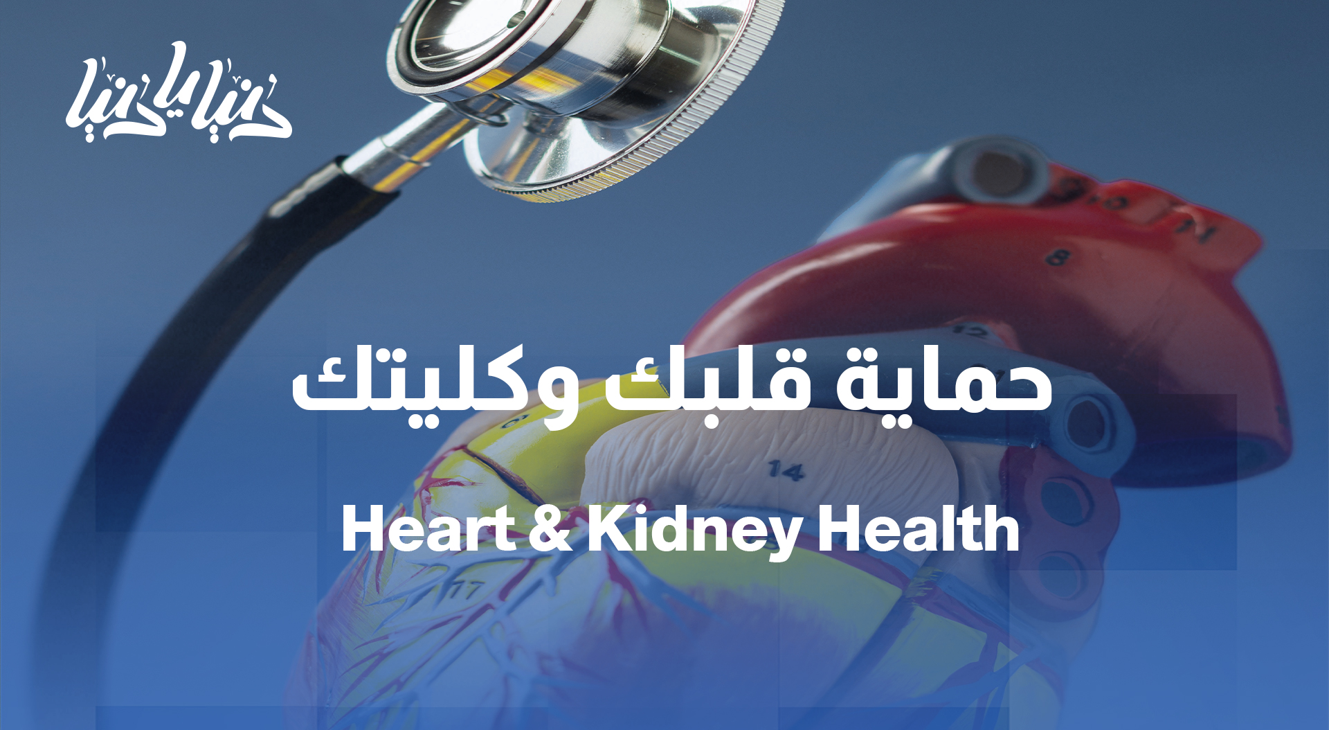 السكري لا يعني فقط السكر.. علاجات تحمي القلب والكلى