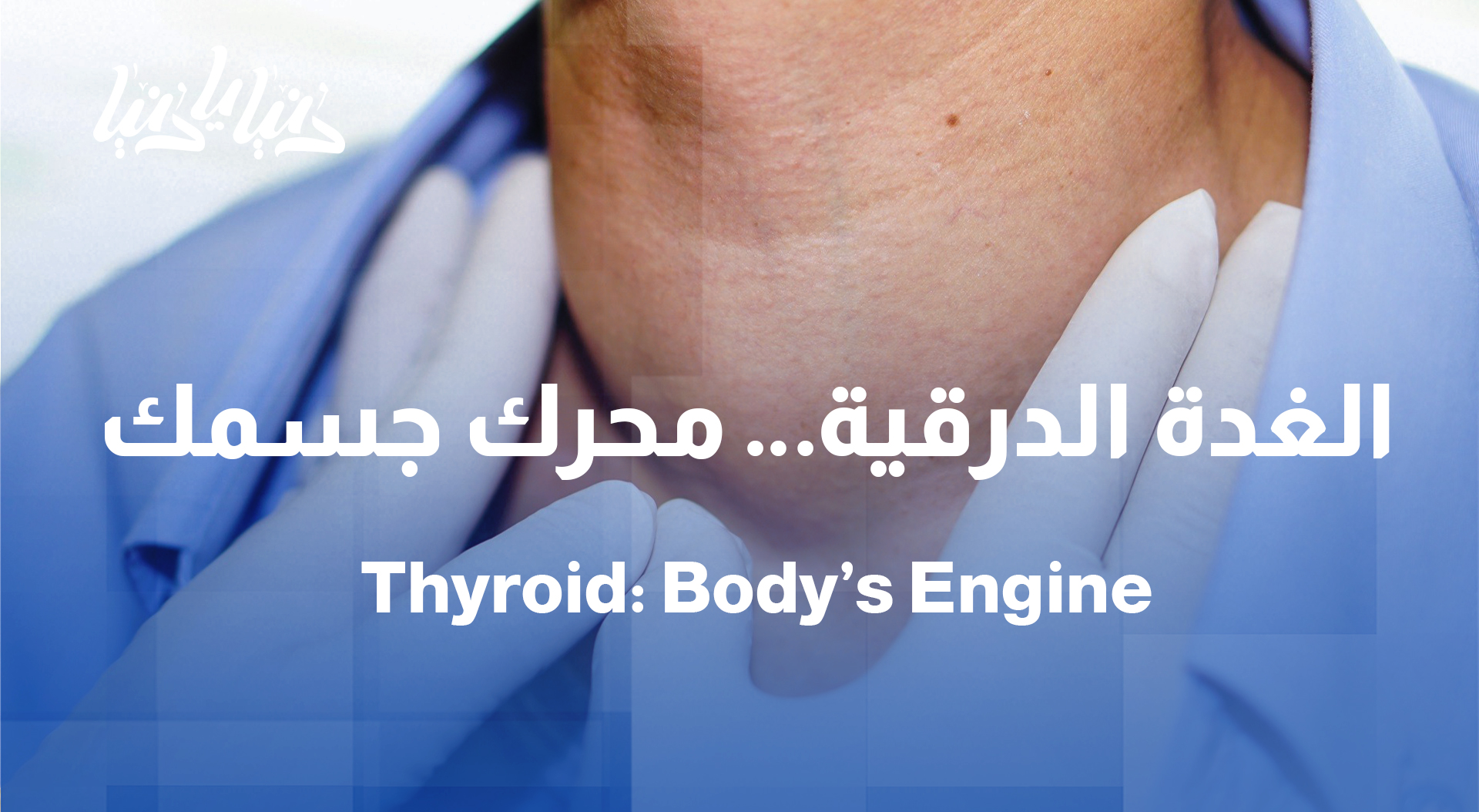 الغدة الدرقية: خمولها وفرط نشاطها