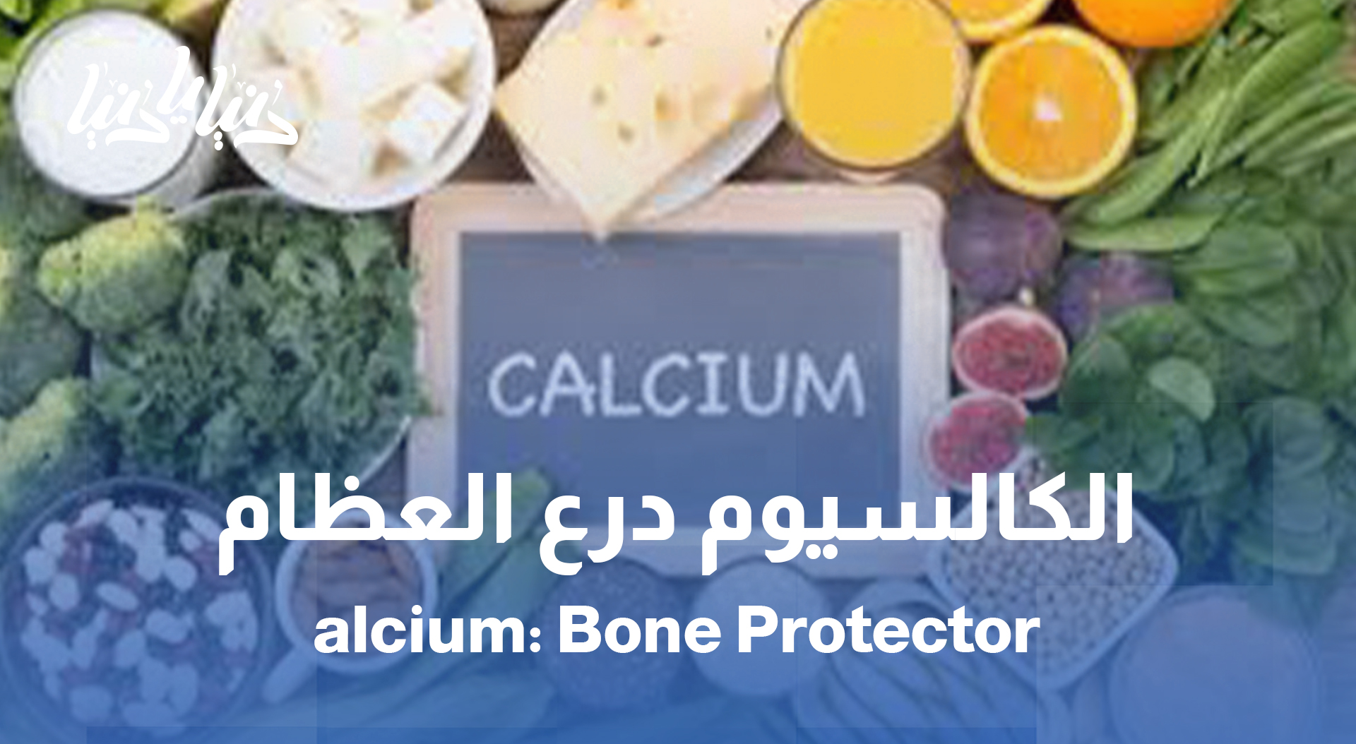 الكالسيوم أولاً.. أطعمة تحمي عظامك من الهشاشة مع التقدم في العمر