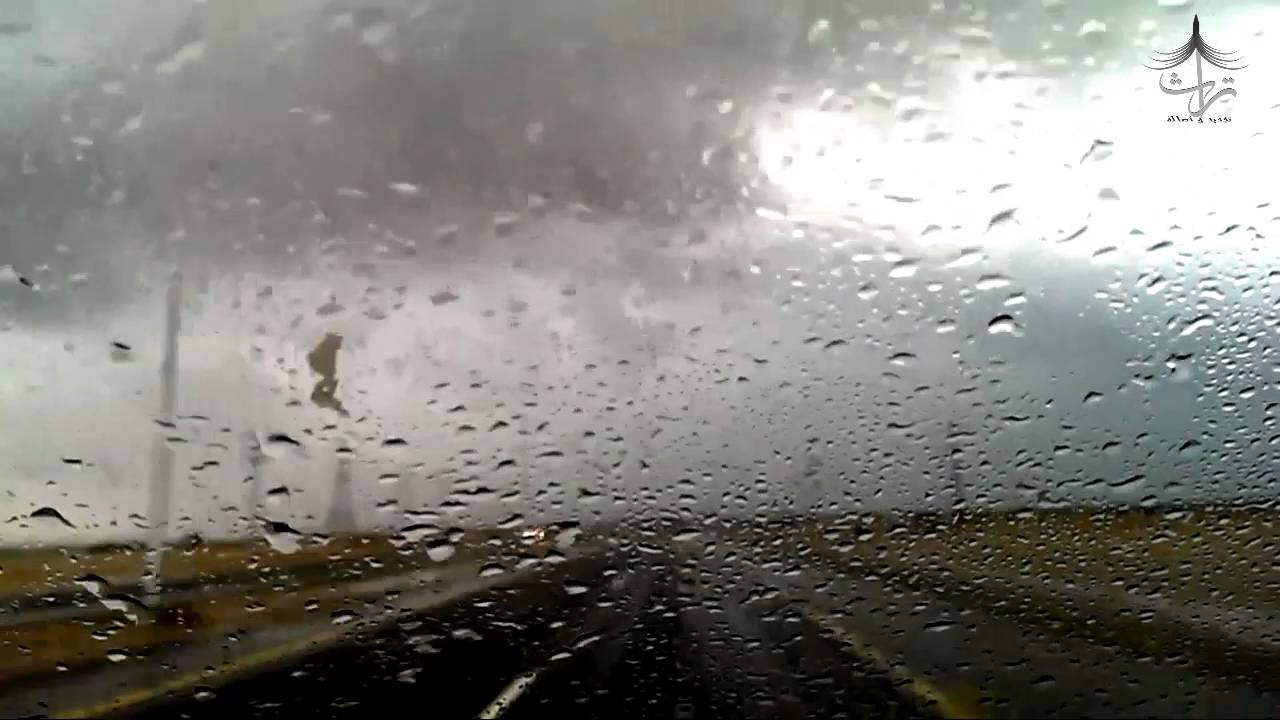 أجواء باردة وأمطار رعدية لليوم 17 ديسمبر - فيديو