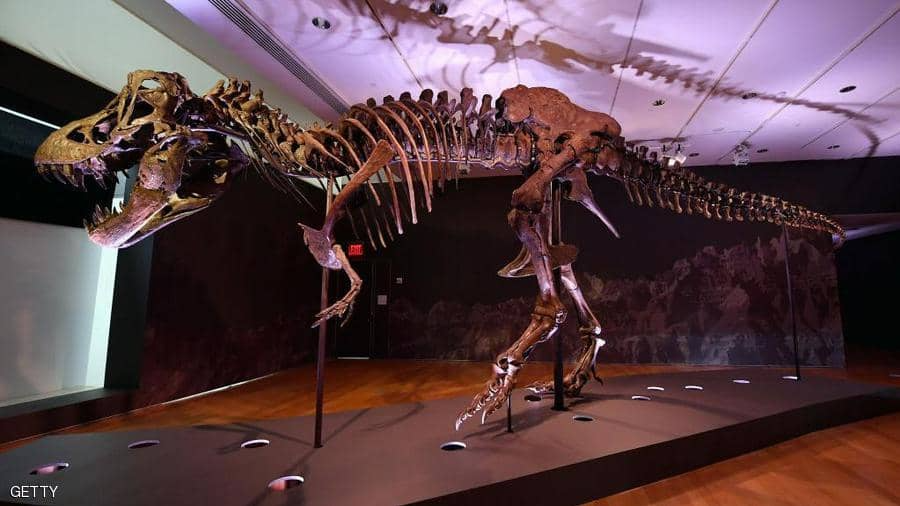 هيكل ديناصور للبيع بمبلغ يتراوح بين 6-8 مليون دولار