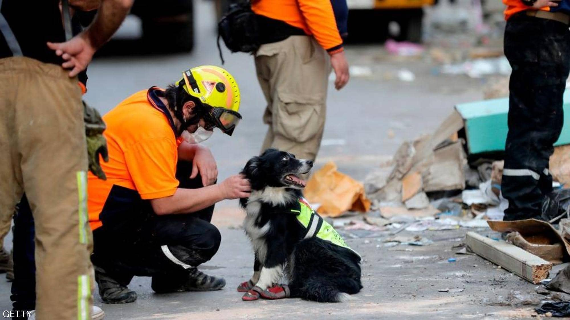 كلب تشيلي استخرج الأمل من تحت رُكام إنفجار بيروت - صور